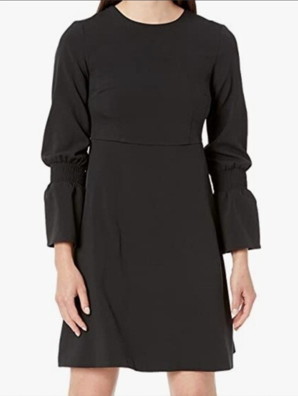 Lark & Ro Navy Mini Dress with Shirred Bell Sleeves Size 4